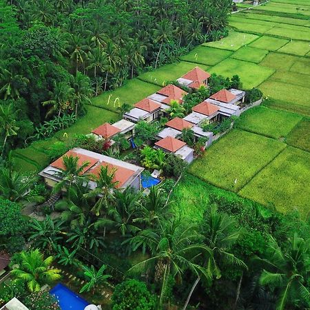 Asri Sari Ubud Villa & Resort Экстерьер фото